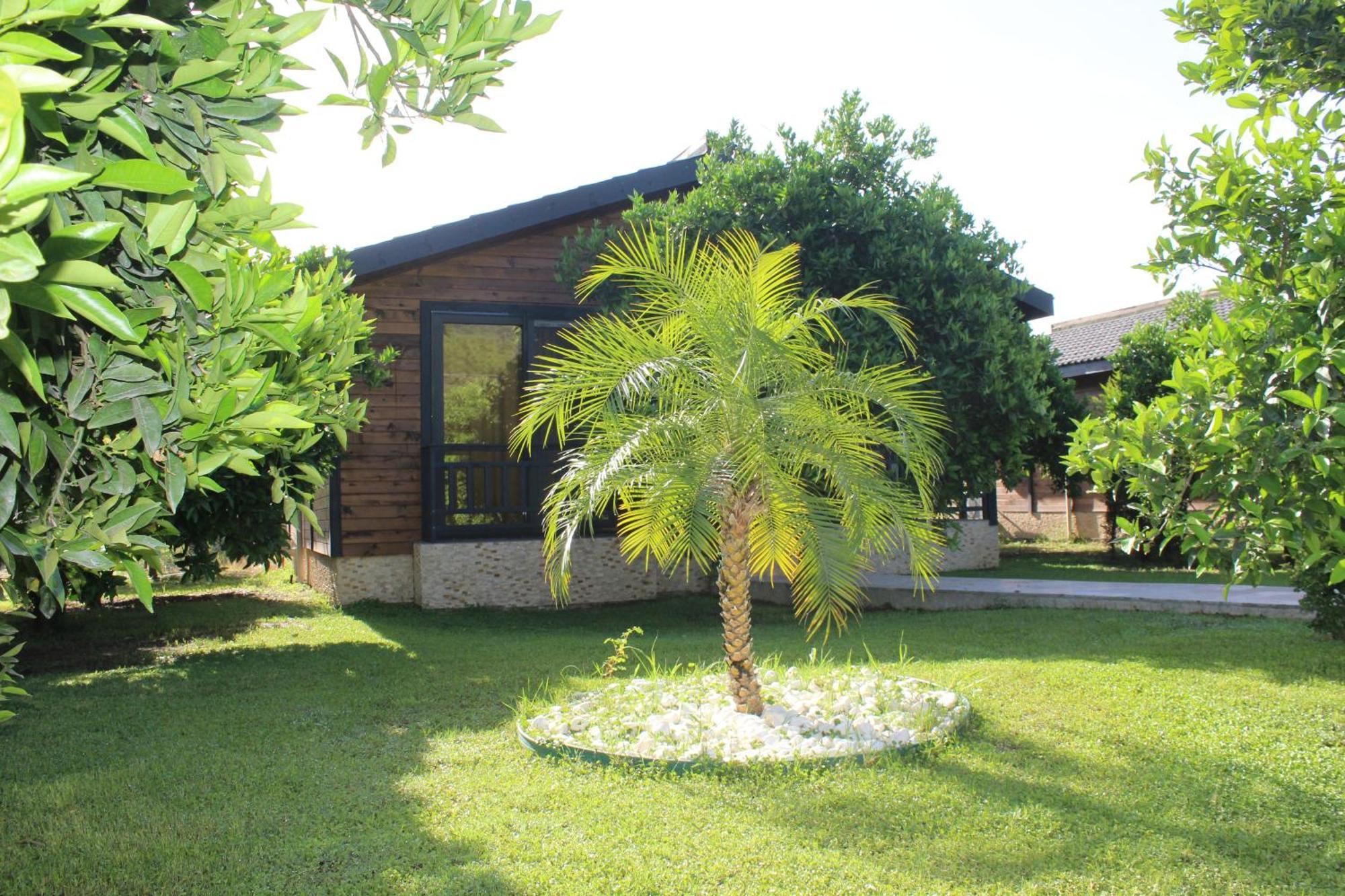 קמר Cirali Villa'S מראה חיצוני תמונה